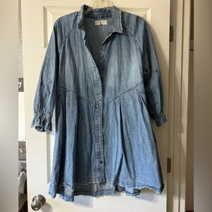 Free People Blue Denim Mini Dress